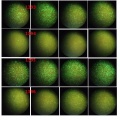 Thumbnail for version as of 16:09, 18 October 2012