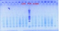 Thumbnail for version as of 12:14, 10 July 2012