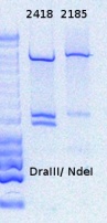 RTENOTITLE