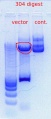 Thumbnail for version as of 13:25, 3 January 2012