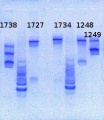 Thumbnail for version as of 17:02, 21 May 2013