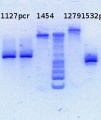 Thumbnail for version as of 12:48, 15 February 2013