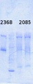 Thumbnail for version as of 17:18, 30 October 2014