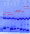 Thumbnail for version as of 10:44, 18 September 2012