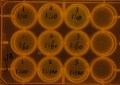 Thumbnail for version as of 18:45, 23 March 2011