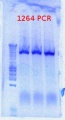 Thumbnail for version as of 14:58, 12 July 2012