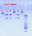 Thumbnail for version as of 16:38, 25 February 2013