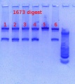 Thumbnail for version as of 16:33, 14 March 2013