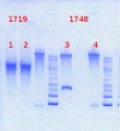 Thumbnail for version as of 13:04, 10 July 2013