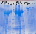 Thumbnail for version as of 13:25, 7 August 2014
