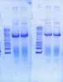 Thumbnail for version as of 14:04, 9 July 2013