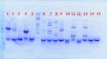 Thumbnail for version as of 09:57, 19 March 2014