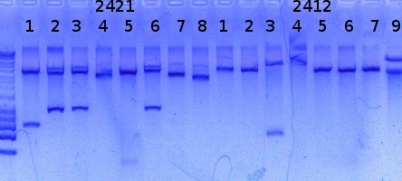 RTENOTITLE