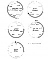 Thumbnail for version as of 19:25, 31 March 2011