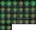 Thumbnail for version as of 10:57, 29 September 2014