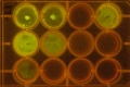 Thumbnail for version as of 22:03, 20 March 2011
