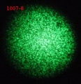 Thumbnail for version as of 15:32, 21 February 2012