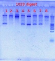 Thumbnail for version as of 15:19, 25 June 2012
