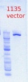 Thumbnail for version as of 14:37, 14 May 2012