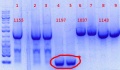Thumbnail for version as of 14:02, 7 June 2012