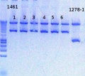Thumbnail for version as of 15:41, 6 December 2012