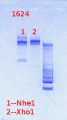 Thumbnail for version as of 11:38, 4 March 2013
