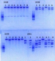Thumbnail for version as of 17:19, 7 February 2014