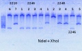 Thumbnail for version as of 15:13, 7 July 2014