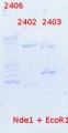 Thumbnail for version as of 18:44, 16 March 2015