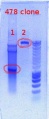 Thumbnail for version as of 16:52, 29 December 2011