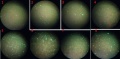 Thumbnail for version as of 16:12, 13 March 2014