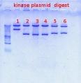 Thumbnail for version as of 08:53, 1 November 2012