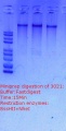 Thumbnail for version as of 22:04, 9 March 2018