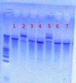 Thumbnail for version as of 14:10, 30 July 2012