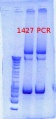 Thumbnail for version as of 12:47, 14 November 2012