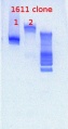 Thumbnail for version as of 16:49, 15 February 2013