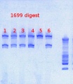 Thumbnail for version as of 14:59, 20 March 2013