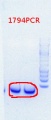 Thumbnail for version as of 10:53, 23 July 2013