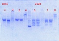 Thumbnail for version as of 14:10, 4 April 2014