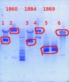 Thumbnail for version as of 10:46, 23 October 2013