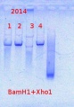 Thumbnail for version as of 14:42, 31 March 2014