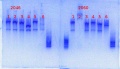 Thumbnail for version as of 11:35, 4 February 2014