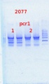 Thumbnail for version as of 12:02, 9 May 2014
