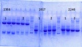 Thumbnail for version as of 11:55, 29 October 2014