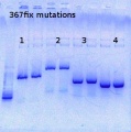 Thumbnail for version as of 15:06, 14 June 2013