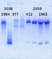 Thumbnail for version as of 16:40, 20 February 2014