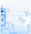 Thumbnail for version as of 11:57, 6 February 2012