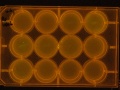 Thumbnail for version as of 13:52, 29 January 2011