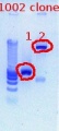 Thumbnail for version as of 14:30, 27 February 2012