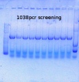 Thumbnail for version as of 12:47, 3 October 2014